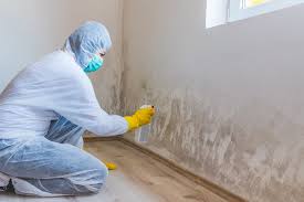 Best Biohazard Mold Removal  in Baltic, CT