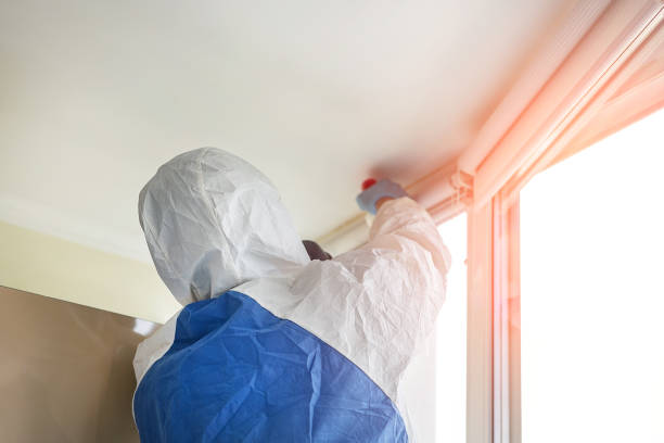 Best Residential Mold Inspection & Testing  in Baltic, CT