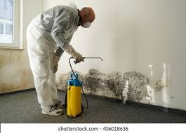 Best Mold Remediation for Vacation Homes  in Baltic, CT